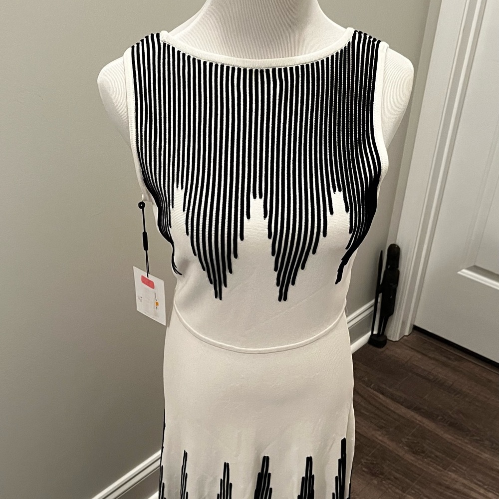 Crème & Black Calvin Klein Dress (Small) Brand New, Never Worn.